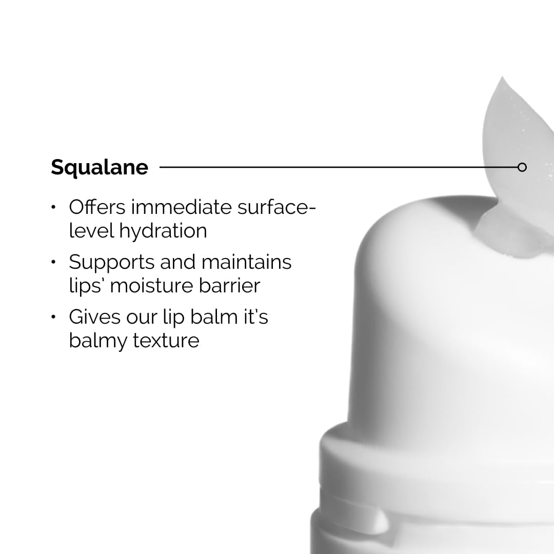 The Ordinary Lip Care Duo - Skin Care Bundle Set - PHA 5% Exfoliating Lip Serum 0.5 Fl Oz + Squalane and Amino Acids Lip Balm